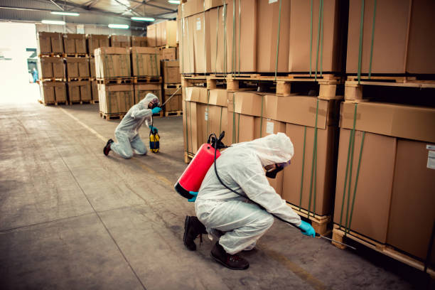 Best Emergency Pest Control  in Vinita Park, MO